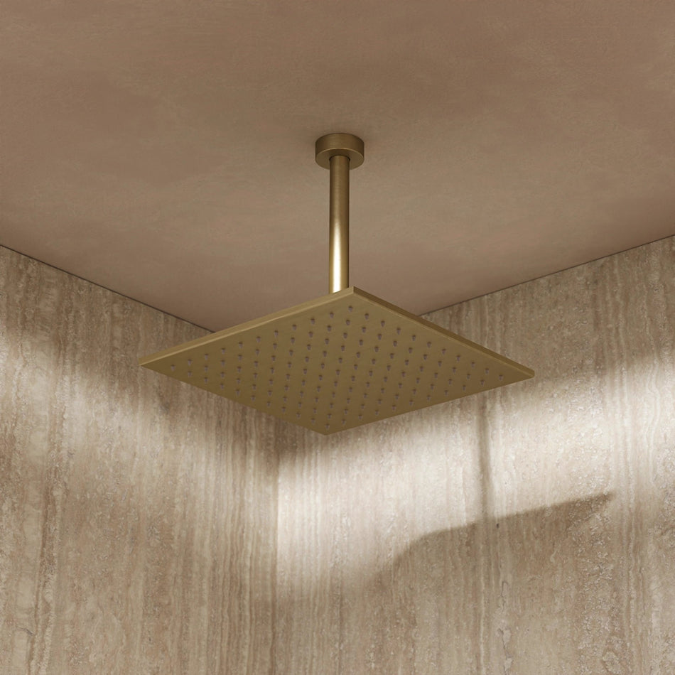 Crosswater Zion Fixed Shower Head - 300mm Wide - Brushed Brass
