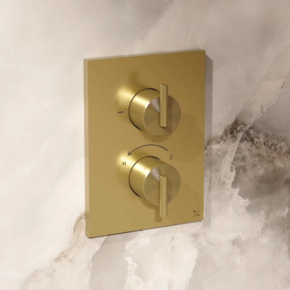 Crosswater 3ONE6 2 Outlet Crossbox Lever Trim And Levers - Brushed Brass Effect